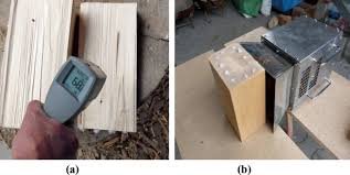 The Innovative Solution for Wood Pest Control Using Microwave Technology